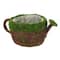 12&#x22; Green Moss Decorative Watering Can by Ashland&#xAE;